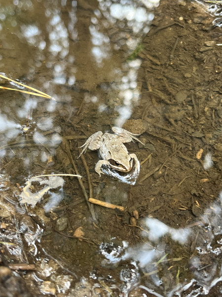 2025-08-25 21-47-21 (5)